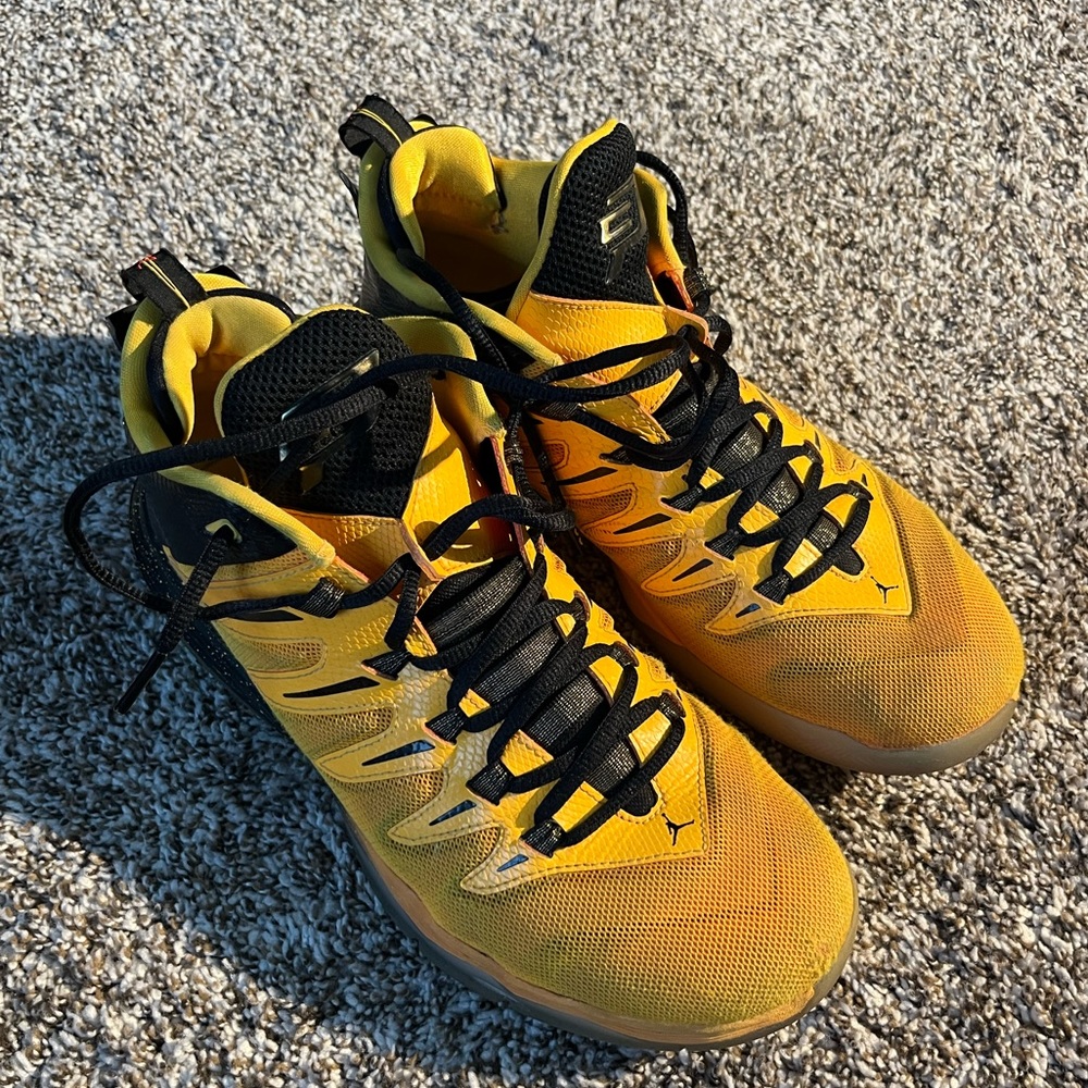 Jordan Cp3 basketball shoes
